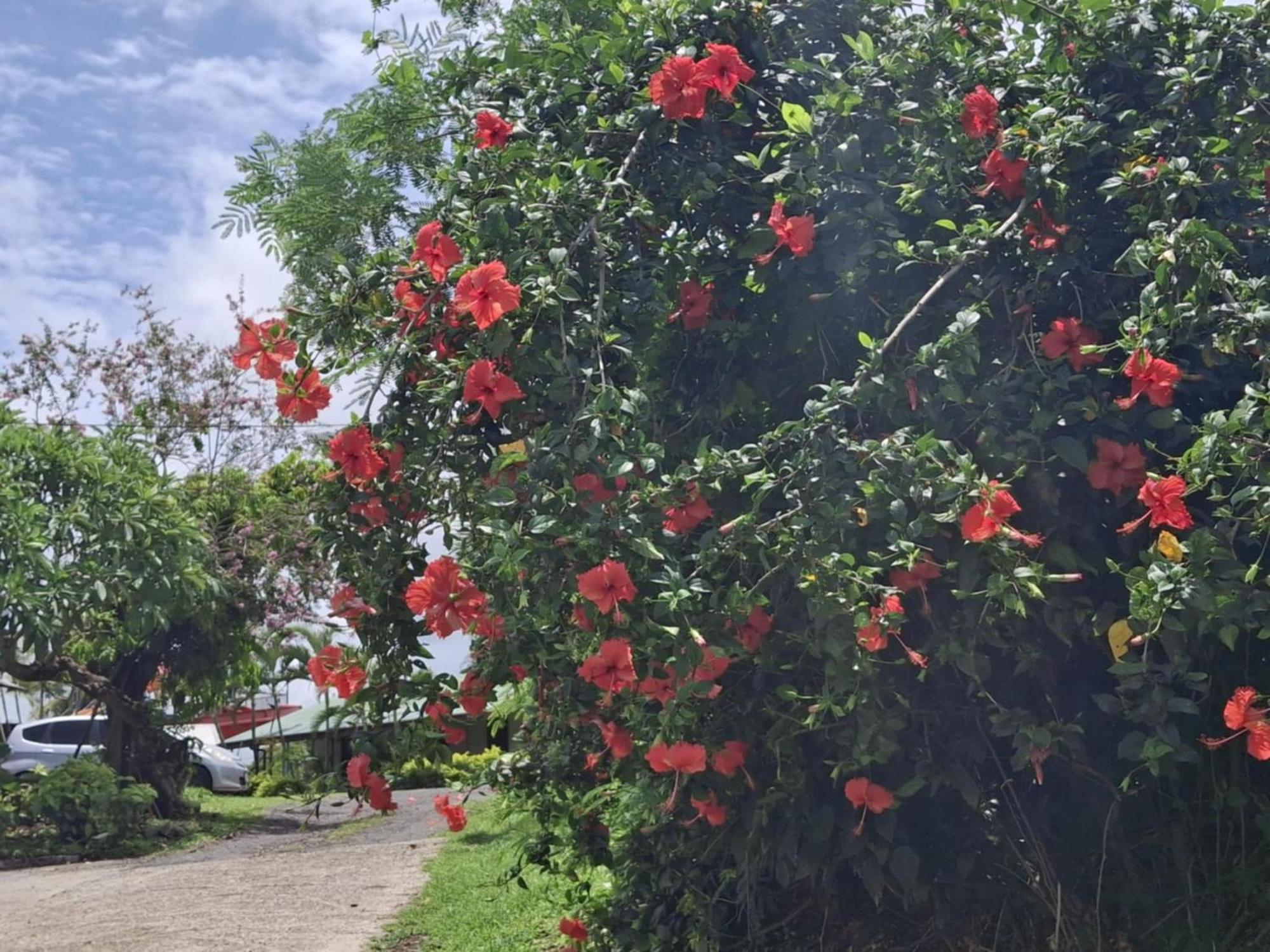 Tavua Hotel Ismail Investments Bagian luar foto